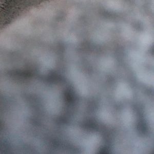 Meet your Posher, Jibri